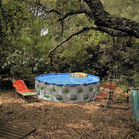 La Cabana Del Alcornoque Córdoba Exteriör bild