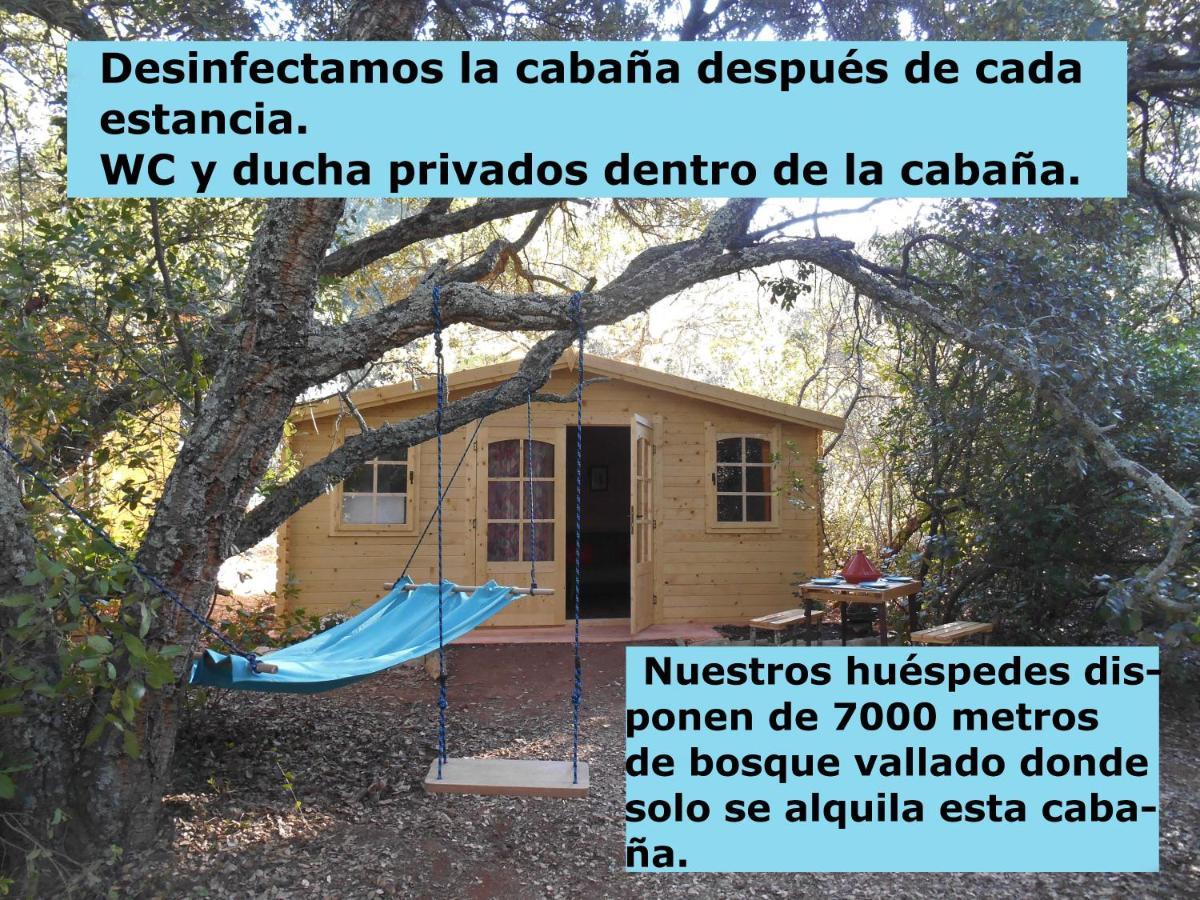 La Cabana Del Alcornoque Córdoba Exteriör bild
