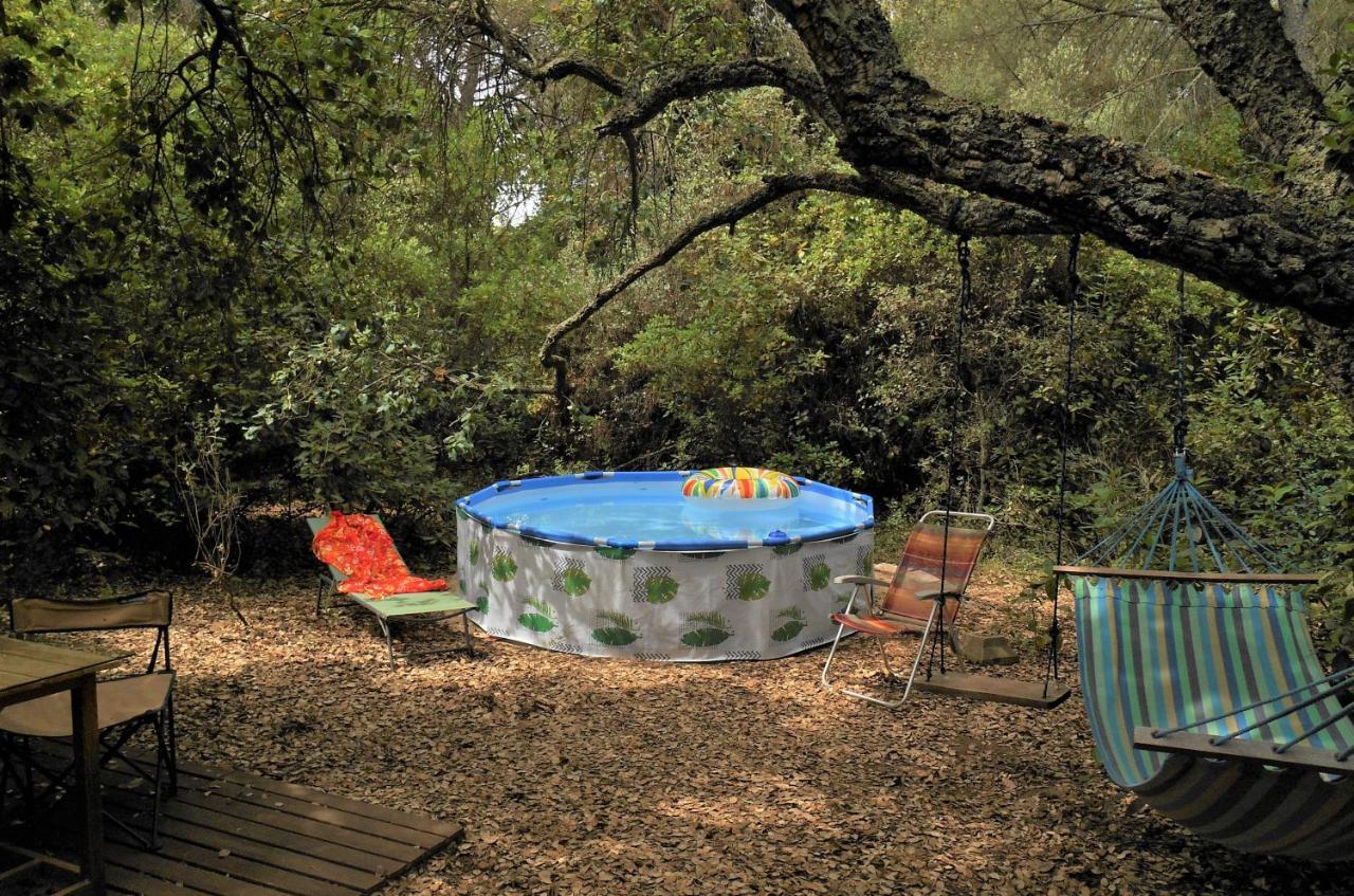 La Cabana Del Alcornoque Córdoba Exteriör bild