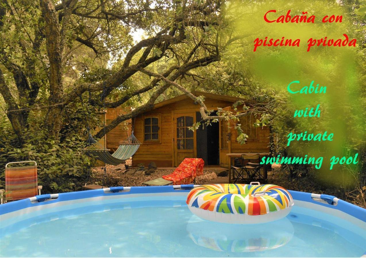La Cabana Del Alcornoque Córdoba Exteriör bild