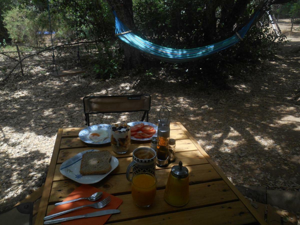 La Cabana Del Alcornoque Córdoba Exteriör bild