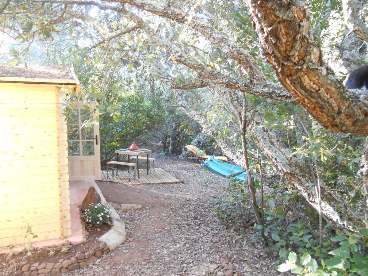 La Cabana Del Alcornoque Córdoba Exteriör bild