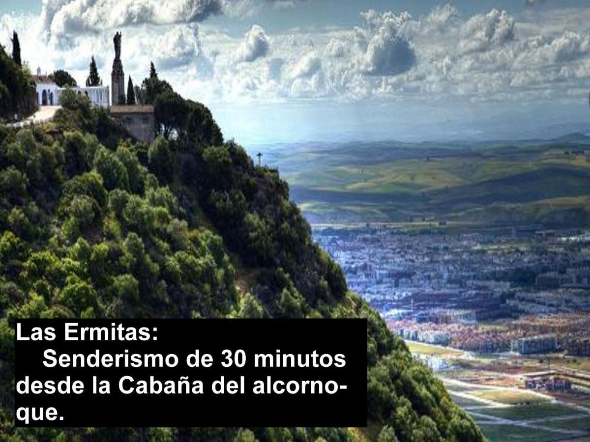 La Cabana Del Alcornoque Córdoba Exteriör bild